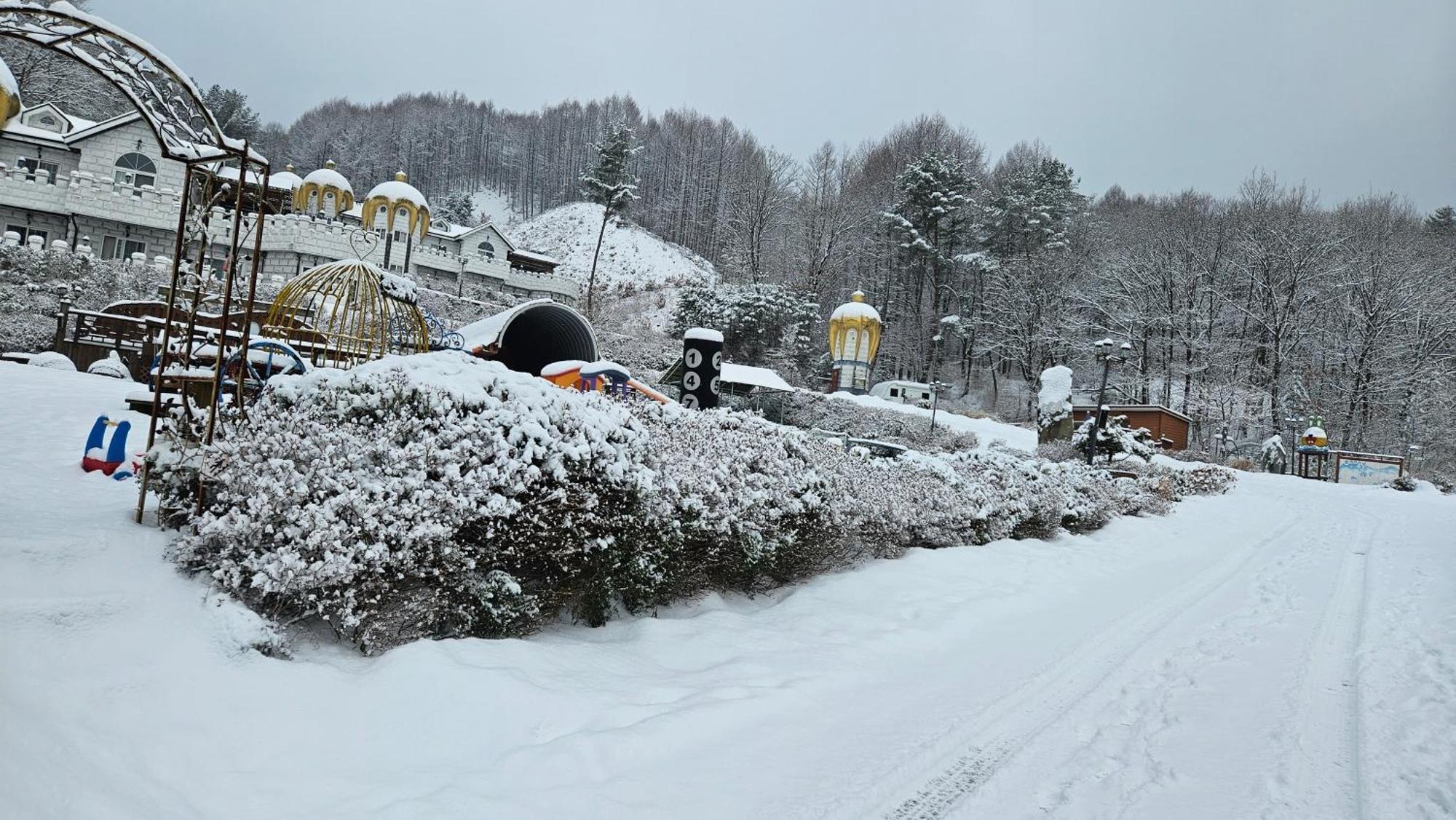 Elf Resort Hotel Pyeongchang Exteriör bild